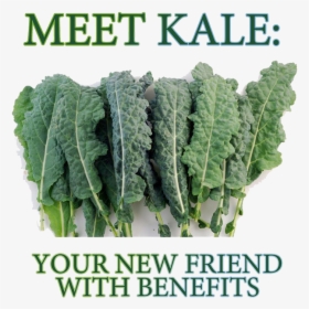 8000 Seeds Lacinto Kale , Png Download - Kale Is Disgusting, Transparent Png, Transparent PNG