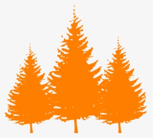 Pine Tree Silhouette Vector - Pine Tree Clipart Png, Transparent Png, Transparent PNG