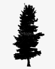 Bush Silhouette Clipart Black And White, HD Png Download, Transparent PNG