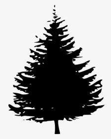 Pine Tree Silhouette Png , Png Download - Pine Tree Silhouette Black, Transparent Png, Transparent PNG