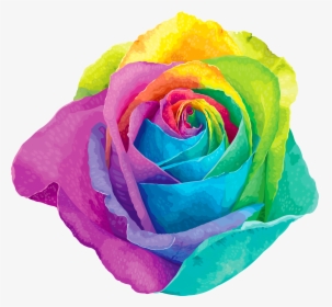 Multicolored Rainbow Rose Transparent Png Clip Art - Rainbow Rose Png, Png Download, Transparent PNG