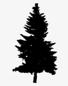 Free Png Pine Tree Silhouette Png Images Transparent - Pine Tree Silhouette Black, Png Download, Transparent PNG
