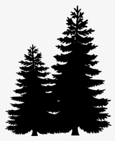 Clip Art Portable Network Graphics Pine Tree Image - Pine Tree Line Silhouette, HD Png Download, Transparent PNG