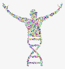 Human Genome Project, HD Png Download, Transparent PNG