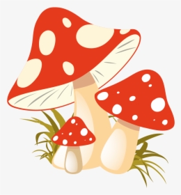 Autumn Mushroom Clipart, HD Png Download, Transparent PNG