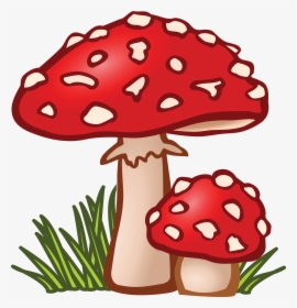 Free Clipart Of Mushrooms - Mushroom Clipart, HD Png Download, Transparent PNG
