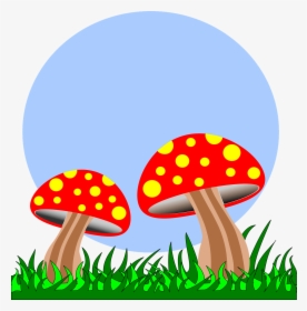 Fungi Cartoon, HD Png Download, Transparent PNG