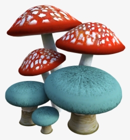 Mushrooms, Mushroom, Fungi, Forest, Nature, Autumn - Fungus Transparent, HD Png Download, Transparent PNG