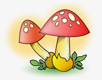 Cute Mushrooms Yard Sign - Mushroom Clipart, HD Png Download, Transparent PNG