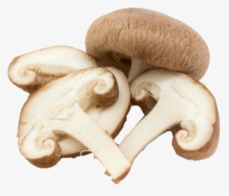 Mushroom Png Background - Shiitake Mushroom Cut In Half, Transparent Png, Transparent PNG