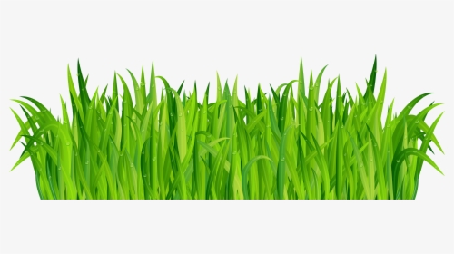 Clip Art Clip Art Of Grass - Grass, HD Png Download, Transparent PNG