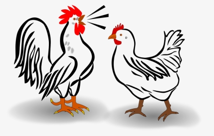 Rooster And Chicken - Rooster And Chicken Clipart, HD Png Download, Transparent PNG
