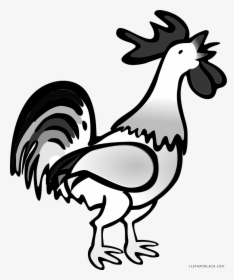 Rooster Animal Free Black White Clipart Images Clipartblack - Rooster Cock Clipart, HD Png Download, Transparent PNG