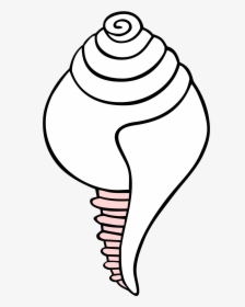 White Conch Symbol - Conch Shell Drawing Easy, HD Png Download, Transparent PNG