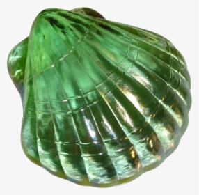 Green Shell Png, Transparent Png, Transparent PNG