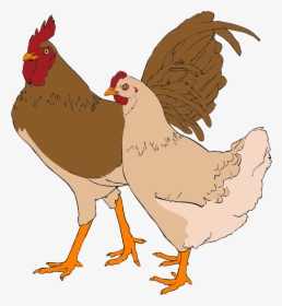 Chicken And Rooster Clipart, HD Png Download, Transparent PNG