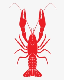 Lobster For Taiapure - Crawfish Clip Art, HD Png Download, Transparent PNG