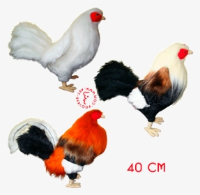 Clip Art Exclusive Tailoring Of Roosters - Rooster Fighting Toys, HD Png Download, Transparent PNG