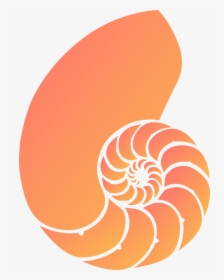 Nautilus Shell Clipart, HD Png Download, Transparent PNG