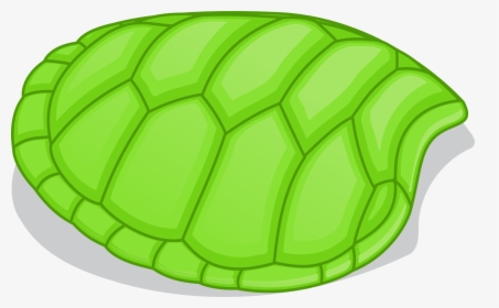 Turtle In Shell Png - Turtle Shell Clipart, Transparent Png, Transparent PNG