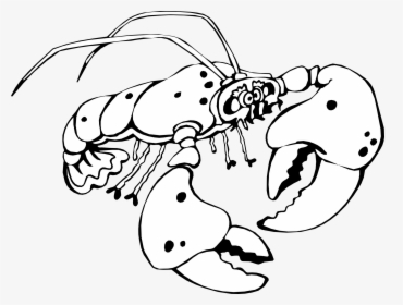 Crayfish Clipart Black And White, HD Png Download, Transparent PNG