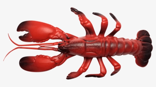 Olhzn Space Lobster - American Lobster, HD Png Download, Transparent PNG