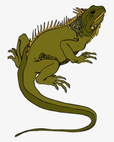 Horned Lizard Png Transparent - Lozard Clipart, Png Download, Transparent PNG