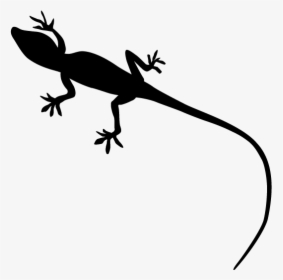 Gecko Lizard Reptile Silhouette - Lizard Silhouette No Background, HD Png Download, Transparent PNG