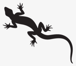 Gecko Lizard New Zealand Fantail Silhouette - Nz Lizards Silhouette, HD Png Download, Transparent PNG