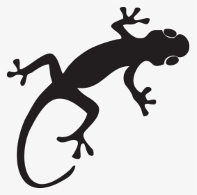Gecko Lizard S - Transparent Gecko Silhouette, HD Png Download, Transparent PNG