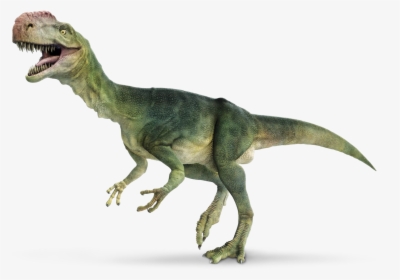 Dinosaur White Background Hd, HD Png Download, Transparent PNG