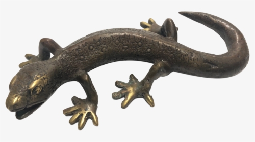 House Gecko, HD Png Download, Transparent PNG