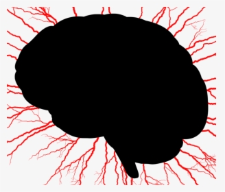 Red,brain,desktop Wallpaper - Brain Clipart Clear Background, HD Png Download, Transparent PNG