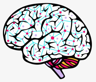 Brain Side View Vector Clipart , Png Download - Brain Side View Vector, Transparent Png, Transparent PNG