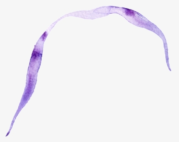 Purple Ribbon Transparent Decorative - Headband, HD Png Download, Transparent PNG