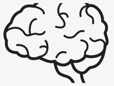 Brain Png Transparent Images - Brain Black And White Png, Png Download, Transparent PNG