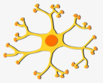 Brain Cell Clipart, HD Png Download, Transparent PNG