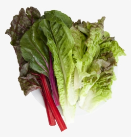Lettuce Clipart Collard Greens - Chard, HD Png Download, Transparent PNG