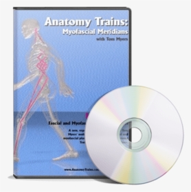 Transparent Action Lines Png - Anatomy Trains Revealed Dvd, Png Download, Transparent PNG