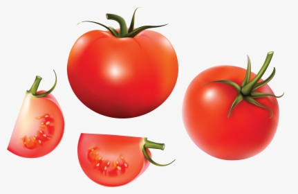 Red Tomatoes - Tomato Vector, HD Png Download, Transparent PNG