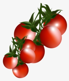 Tomatoes Clip Art - Cherry Tomatoes Clipart Png, Transparent Png, Transparent PNG