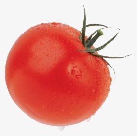 Tomato Png Free Download - Produce Png Tomato, Transparent Png, Transparent PNG