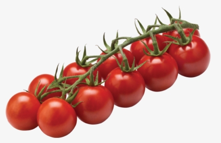 Tomato Cherry On Vine Clipart , Png Download - Cherry Tomato On The Vine, Transparent Png, Transparent PNG
