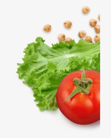 Lettuce And Tomatoes Png , Png Download - Tomatoes And Lettuce Png, Transparent Png, Transparent PNG