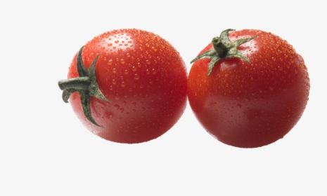 Transparent Tomato Plant Clipart - Plum Tomato, HD Png Download, Transparent PNG
