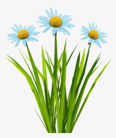 New Textures Billboard Grass - Transparent Flowers Texture, HD Png Download, Transparent PNG