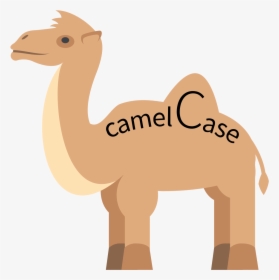 Camel Case In Programming, HD Png Download, Transparent PNG