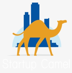 Transportation Clipart Camel - Dromedary, HD Png Download, Transparent PNG