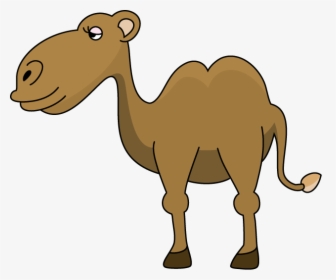 Camel Clipart Camel A11 Png - Qamel Klipart Png, Transparent Png, Transparent PNG