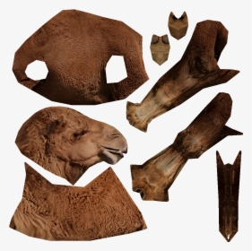 Masai Lion, HD Png Download, Transparent PNG